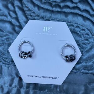 Elegant Silver and Black Earrings